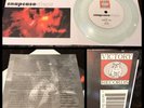 SNAPCASE Steps 7” Clear Vinyl 1st Victory 95-sXe HC slugfest cinderblock terror