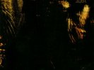 Paradise Lost - Gothic LP Vinyl (1991)