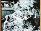 Rage Against the Machine Numbered Blue Vinyl - Rare 2013 Music on Vinyl Edition
