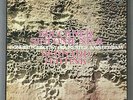 C129 Bruckner Symphony No.8 Haitink 2LP Philips 6700 020 Stereo