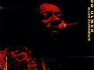 2xLP The James Blood Ulmer Blues Experience Live At The Bayerischer Hof 180 GR.