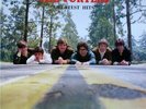 The Turtles The Turtles Greatest Hits NEAR MINT Rhino Records Vinyl LP
