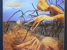 SUPERDISK LP   DIXIE DREGS   ** SEALED **   Half Speed  Audiophile  1/2 Speed