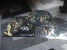 DOUBLE 33T  PICTURE DISC JIMI HENDRIX ELECTRIC LADYLAND