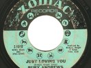 Northern Soul 45 RUBY ANDREWS 