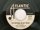 hear Northern Soul Girl Group 45 DORELLS Beating Of My Heart ATLANTIC