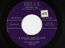 Doo-Wop 45 - Harp-Tones - Sunday Kind Of Love - Bruce - mp3