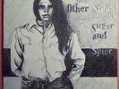 private press On The Other Side Of Sugar And Spice folk psych all female 2 x LP