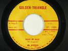 R&B Soul 45 - Mr. Wiggles - Wash My Back - Golden Triangle - VG+ mp3