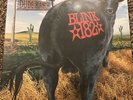 Dude Ranch by blink-182 (Vinyl, Dec-2016, Src Records)