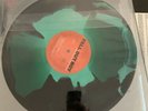 - FALL OUT BOY / TAKE THIS TO YOUR GRAVE / 1ST PRESS CAMO / NEAR MINT