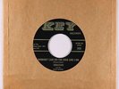 R&B/Deep Soul 45 - Sebastian & House Rockers - Nobody Can Do The Dog - Key VG++