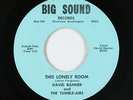 Rockabilly C&W 45 - David Banner - The Lonely Room - Big Sound - mp3 - obscure