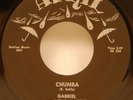 Gabriel and The Angels Chumba / Hey 45 EX 1960 Surf Rock Tittyshaker April