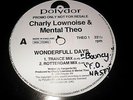 CHARLY LOWNOISE & MENTAL THEO - WONDERFULL DAYS,1994,POLYDOR RECS(THEO1)GABBER
