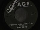 DOYE O'DELL: Everybody Likes A Little Lovin' / If The Devil Wants To Talk 45