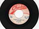 The Flamingos 45 I Want To Love You/Please Come Back CHECKER PROMO Doo Wop 273