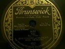 Jesse Stafford Palace Hotel Orch.:Brunswick 4823:Dust/THE WHOLE DARNED THING:NM