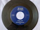Rare Garage-The Rock Garden on Revise 300-Super Stuff ARKANSAS FUZZ GARAGE 45