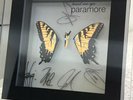 Paramore Limited Edition Brand New Eyes Shadowbox (#220/250)