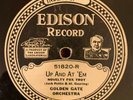 EDISON DIAMOND DISC 51820 Golden Gate Orchestra 