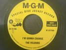 THE VELOURS * I’M GONNA CHANGE *GENE TOONES*What More Do You Want Northern SOUL