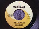 THE CHARAYDES - LONELY MIXED UP GIRL rare US 1966 / GARAGE / DANCER / MINT-