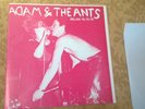 So RARE Punk New Wave Adam and the Ants  Milan 16.10.78  LP + 7