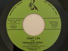 Teen Rocker TOMMY LAM Blue willow K