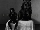6LACK- FREE 6LACK LP BRAND NEW VINYL RECORD FAST SHIPPING
