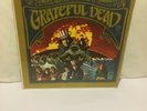 GRATEFUL DEAD SELF TITLED LP 1967 FIRST PRESS MONO RUNOUT SAME AS PROMO 1A/1A
