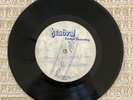 The Mixtures. Down Under Girls / My Neck Of The Woods ACETATE 1974 Alt Mix?