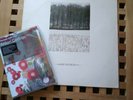 Joy Division Atmosphere She's Lost Control First Pressing Vinyl + Anton Corbijin