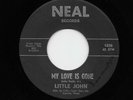 Little John, Johnny Truitt - My Love Is Gone / Looking For My Picture (45) 1236