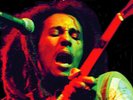 Bob Marley ?– Soul Rebel on Green Vinyl LP Goldmine 2020 NEW/SEALED
