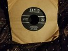 WOW  RARE 45 RPM Jimmy Witter and the Shadows on ELVIS Record Company label
