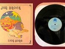 Jim Brock - Lion Song RARE private press jazz experiment vinyl LP