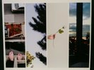 Counterparts :The Difference Between Hell and Home Blue Translucent Vinyl HTopic