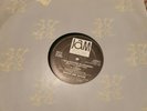 Jam Today No Questions No Answers Mix Vinyl 12 Inch rosaline joyce