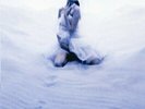 LUNA SEA-EDEN-JAPAN 2 LP Ltd/Ed L15