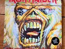 Iron Maiden Bring Your Daughter To The Slaughter 7 Inch Pic Disc Vinyl (45/45)