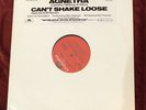Agnetha Faltskog / Abba : Can't Shake Loose 12