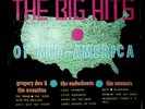 The Big Hits Of Mid-America LP 1964 obscure garage rock Soma Records mono VG+