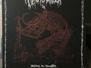 Terrorizer - Before The Downfall (Orange Vinyl, Etched + CD)