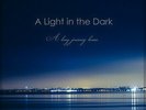 A Light in the Dark : A Long Journey Home VINYL 12