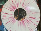 LIMITED TOUR EDITION New Found Glory SIGNED BY BAND LP Vinyl Forever + Ever X