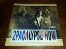 Rare 2Pac - 2Pacalypse Now - 2xLP Vinyl Limited Numbered Edition 0275/0713 Rap