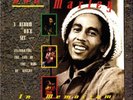 Bob Marley(3x12