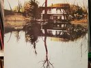 LOY & ALTOMARE - LAGO DI VICO M. 507) / Vinile Lp CGD 20126 Folk Prog Rock 1979