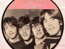 The Beatles Picture Disc   Record  7